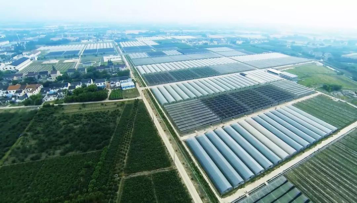 微信图片_20191008143940.jpg 微信图片_20191008143940.jpg
